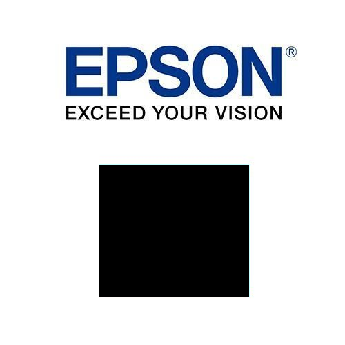 Epson Singlepack Black C13S020118