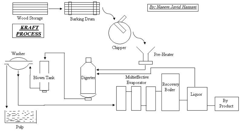 Pulp and Paper Kraft Process